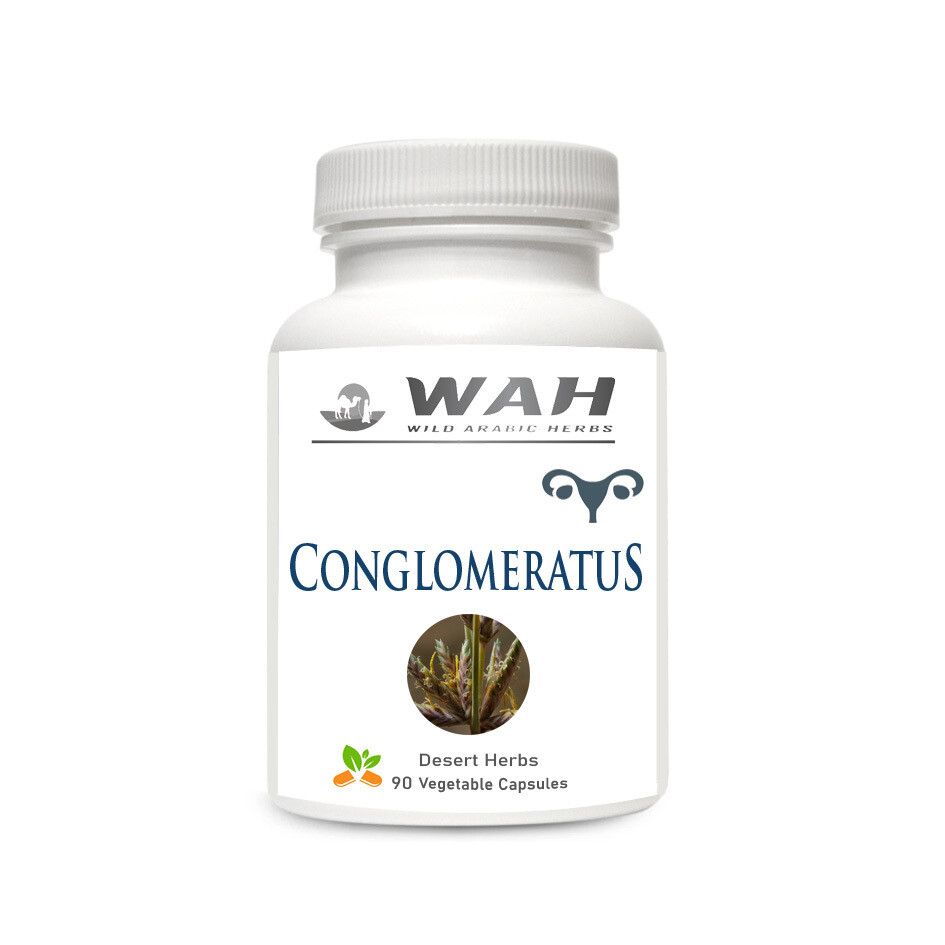 ​Conglomeratus – Gynecological