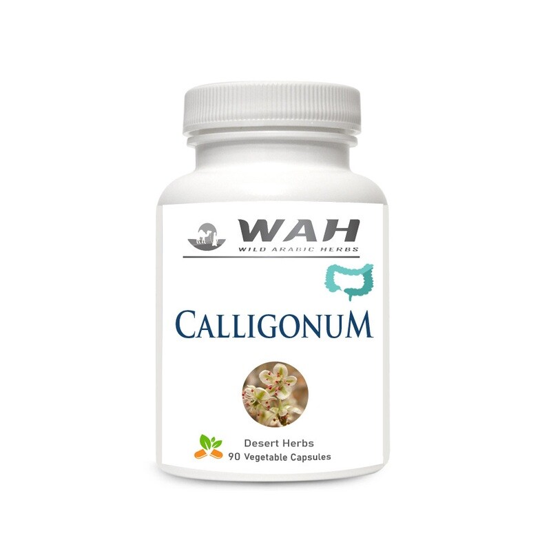 ​Calligonum – Colorectal