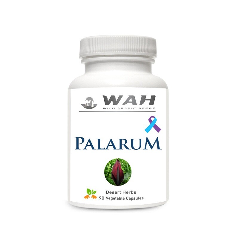 ​Palarum – Prostate & Testicular