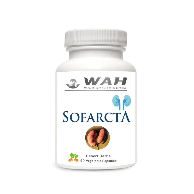 ​Sofarcta – Kidney