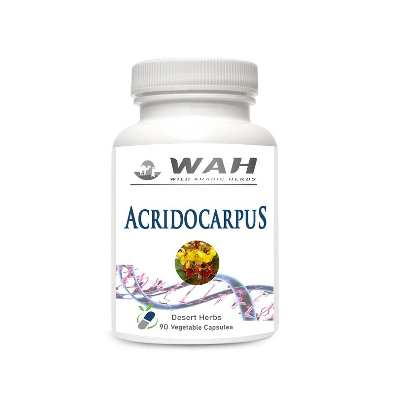 Acridocarpus