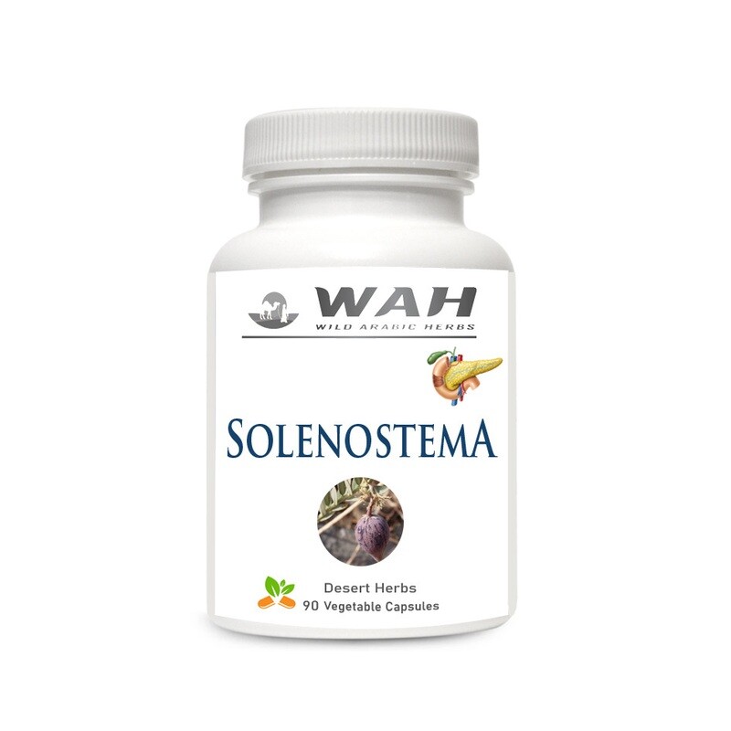 ​Solenostema - Pancreas