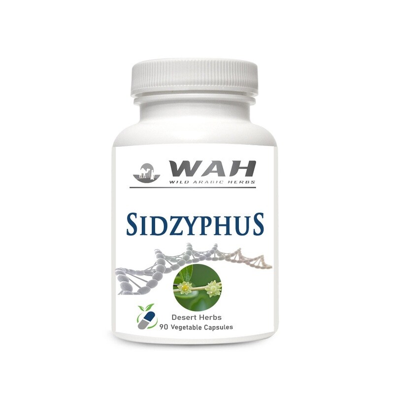 Sidzyphus