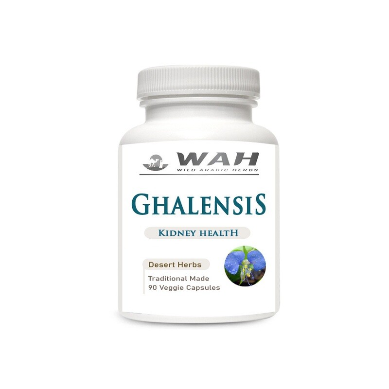 Ghalensis - Kidney
