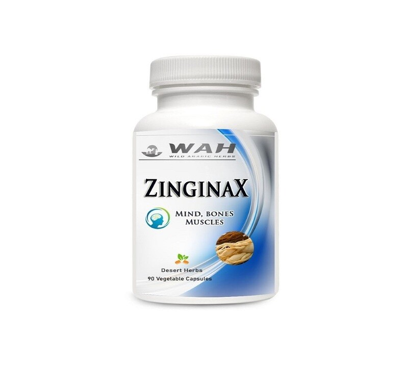 ​Zinginax - Mind, Bones & Muscles