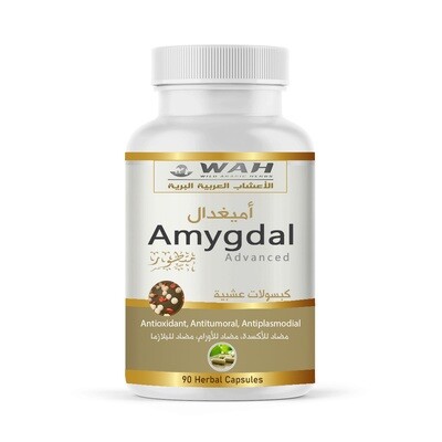Amygdal (90 Capsules)