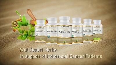 Colorectal Cancer Support
