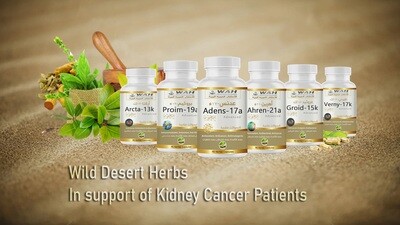Kidney Cancer Support