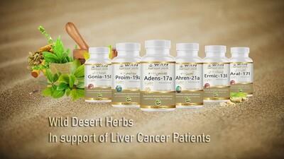 Mbështetja për Kancerin e Mëlçisë