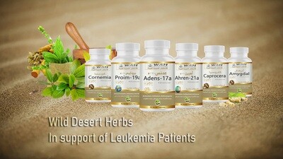 Mbështetja për Leukemia