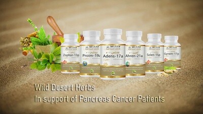 Mbështetja për Kancerin e Pankreasit