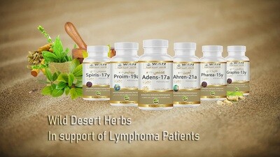 Mbështetja për Kancerin Limfatik