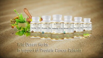 Mbështetja për Kancerin e Prostatë​s & Testikujve