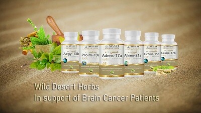 Brain Tumors Support