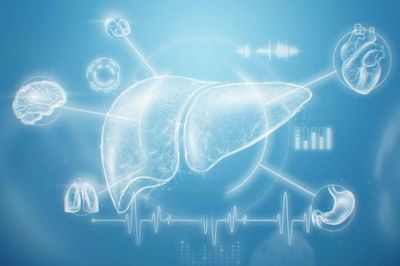 Liver Health