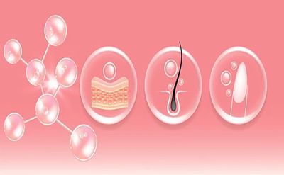 Skin, Hair &amp; Nails