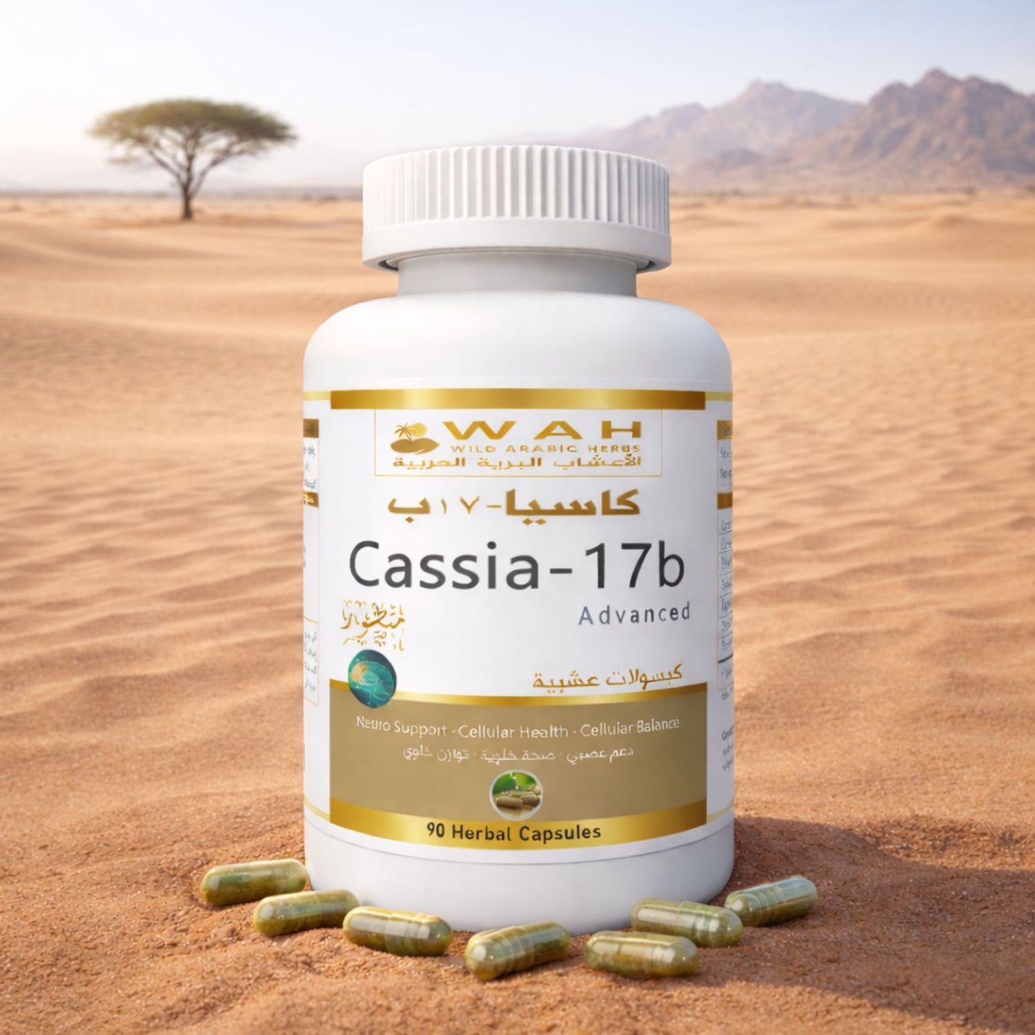Cassia-17b - Desert Herbs Formula for Brain (90 Capsules)