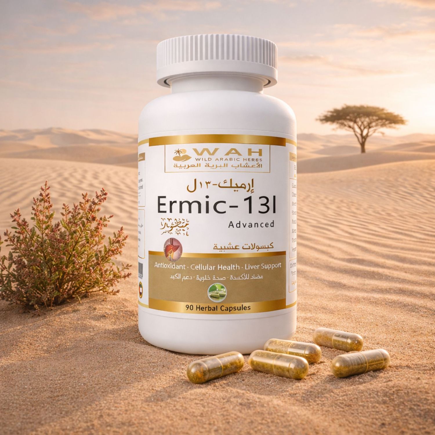 Ermic-13l - Desert Herbs Formula for Liver (90 Capsules)