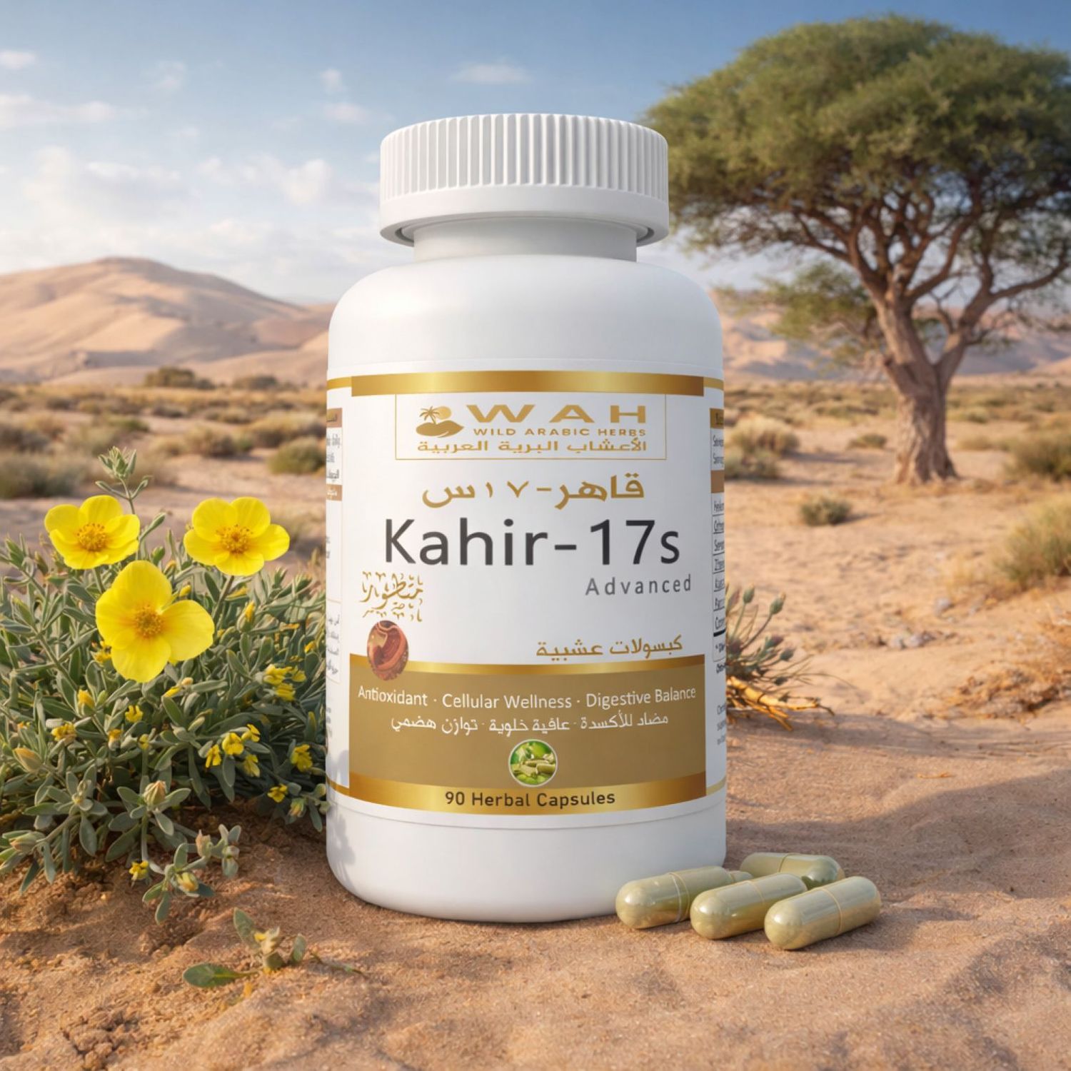 Kahir-17s - Desert Herbs Formula for Stomach (90 Capsules)