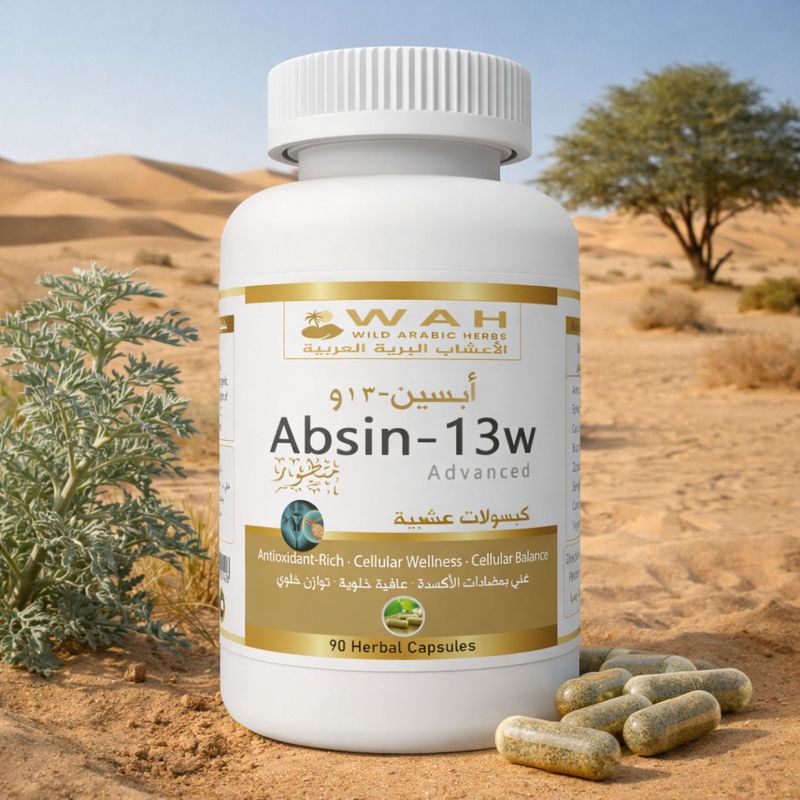 Absin-13w - Desert Herbs Formula for Gynecological (90 Capsules)