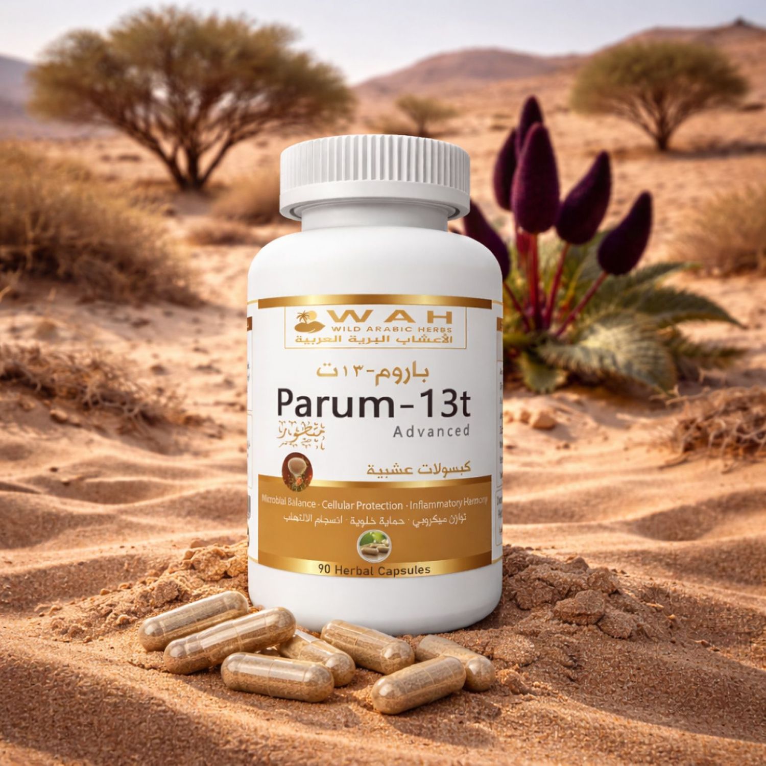 Parum-13t - Desert Herbs Formula for Prostate &amp; Testicles (90 Capsules)