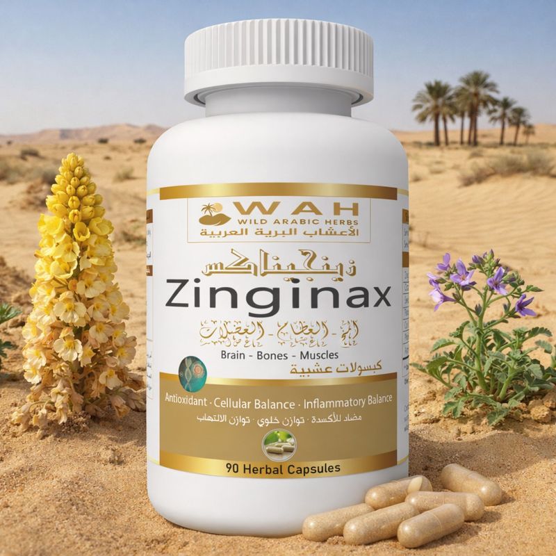 Zinginax – Formulë me Bimë Shkretëtire për Trurin, Zemrën, Kockat dhe Muskujt (90 Kapsula)