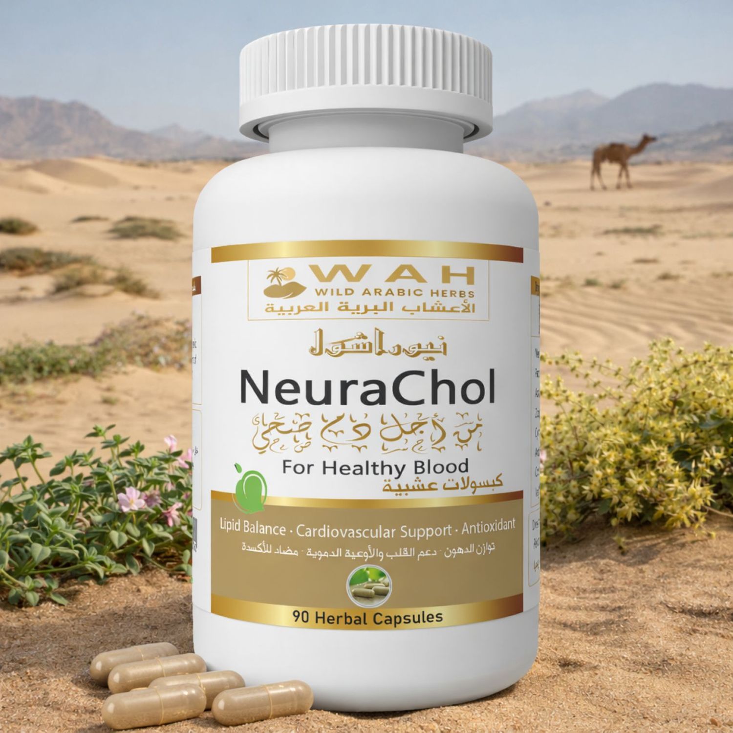 NeuraChol – Desert Herbs Formula for Blood Circulation and Lipid Balance (90 Capsules)