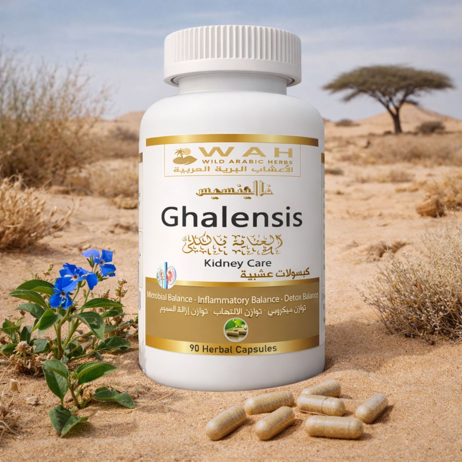 Ghalensis – Desert Herbs Formula for Kidney and Urinary Tract Health (90 Capsules)