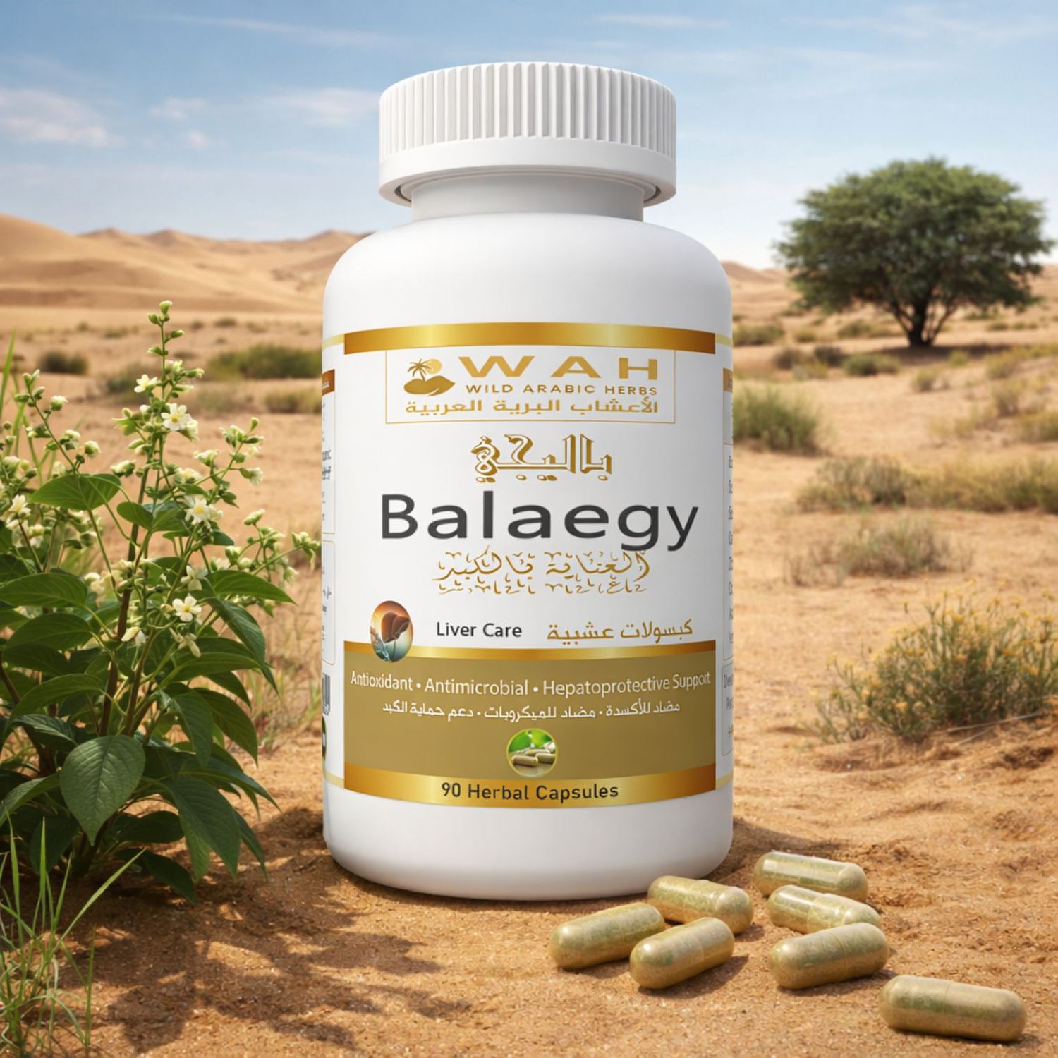 Balaegy - Desert Herbs Formula for Liver Health (90 Capsules)