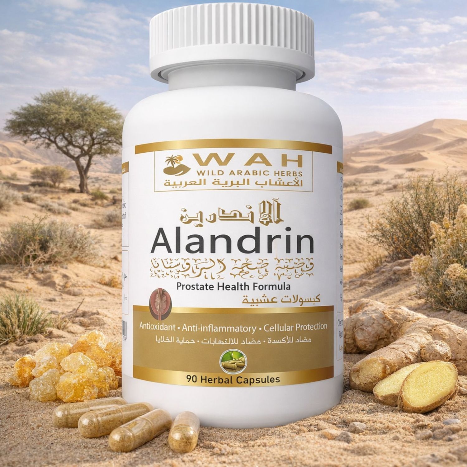 Alandrin – Desert Herbs Formula for Prostate Health (90 Capsules)