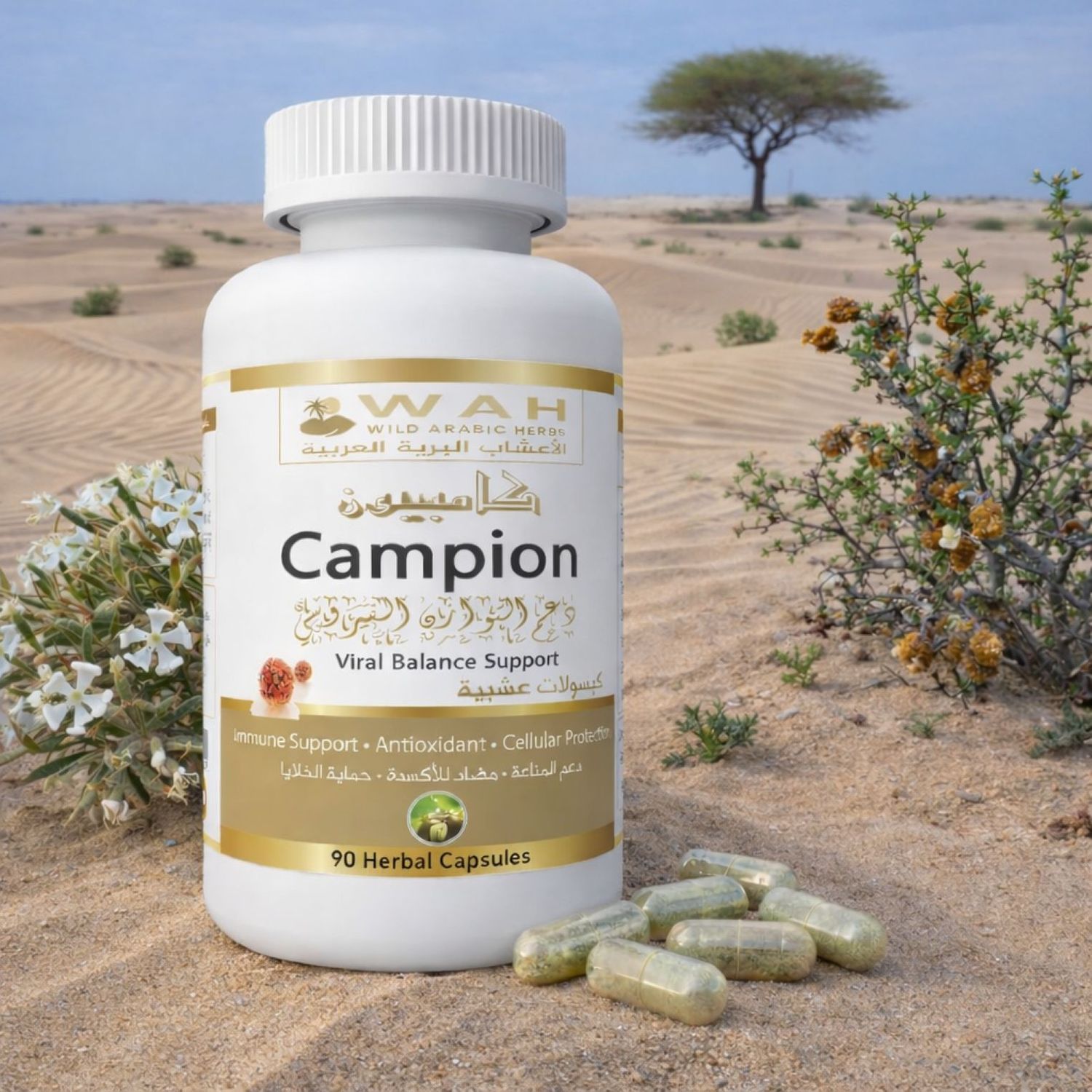 Campion – Desert Herbs Formula for HPV and Herpes (90 Capsules)