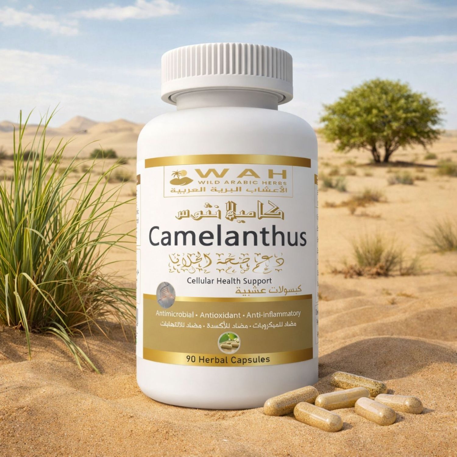 Camelanthus – Desert Herbs Formula for Genetic Conditions (90 Capsules)