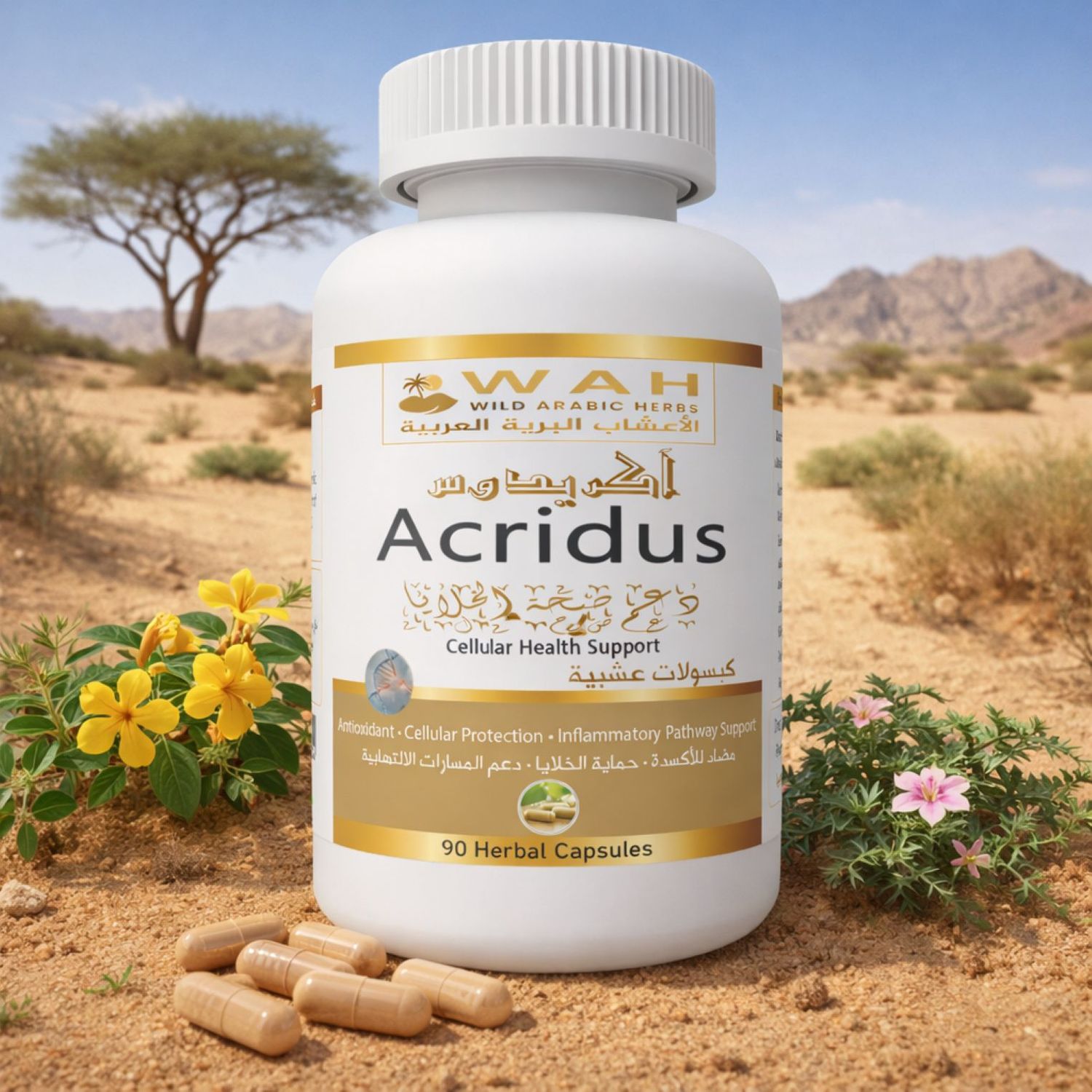 Acridus – Desert Herbs Formula for Genetic Conditions (90 Capsules)