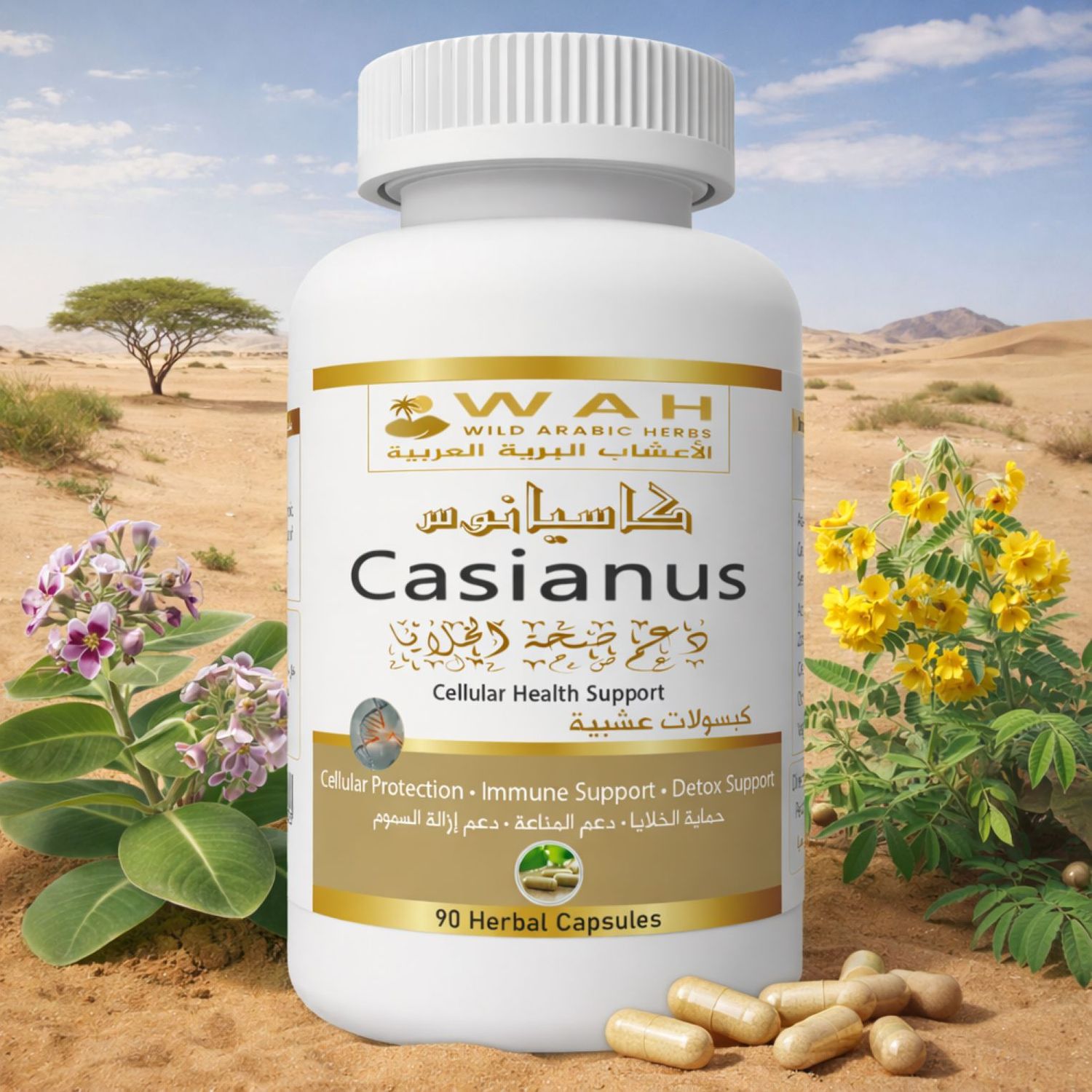 Casianus – Desert Herbs Formula for Genetic Conditions (90 Capsules)