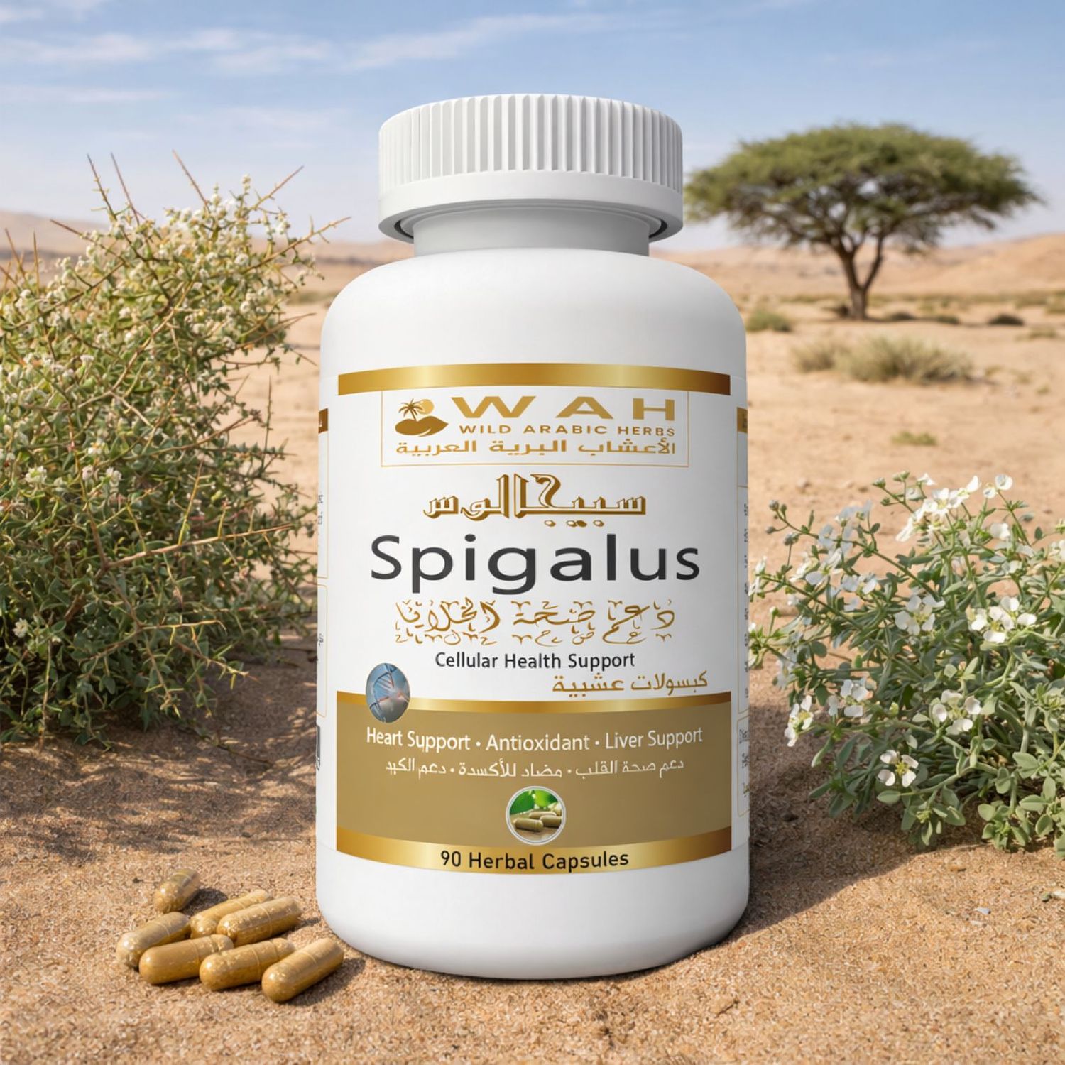 Spigalus – Desert Herbs Formula for Genetic Conditions (90 Capsules)