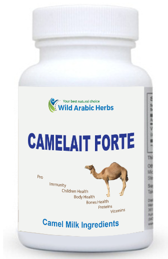 CAMELAIT FORTE CAMELAIT FORTE