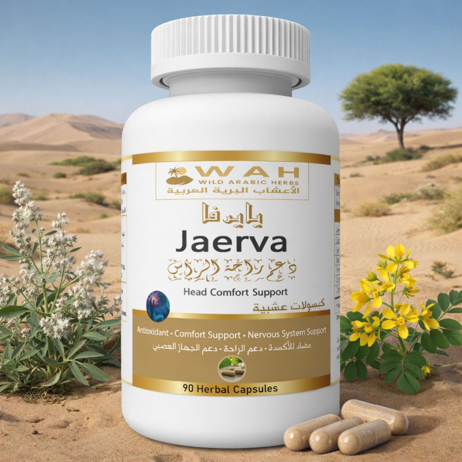 Jaerva – Desert Herbs Formula for Migraine &amp; Headache Relief (90 Capsules)