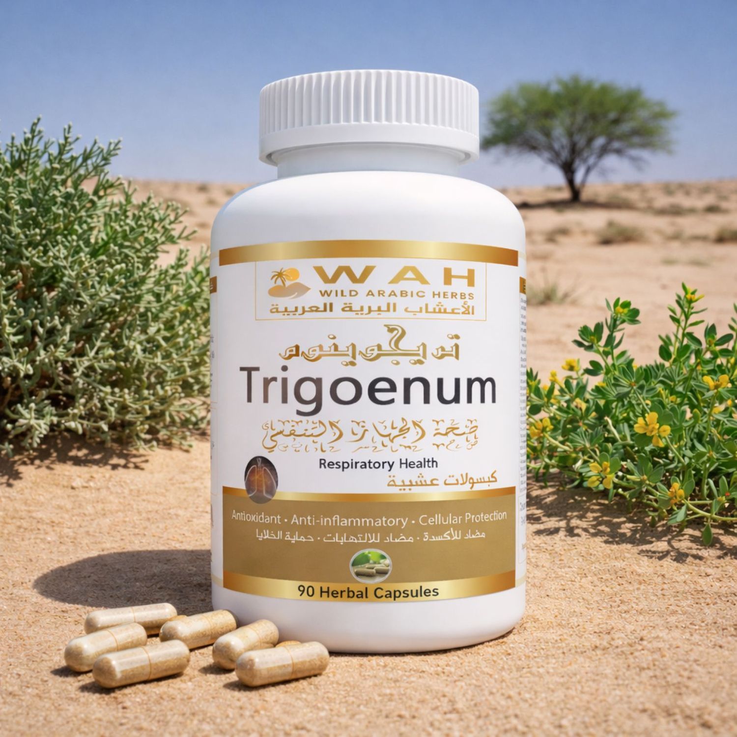 Trigoenum – Desert Herbs Formula for Respiratory Health (90 Capsules)