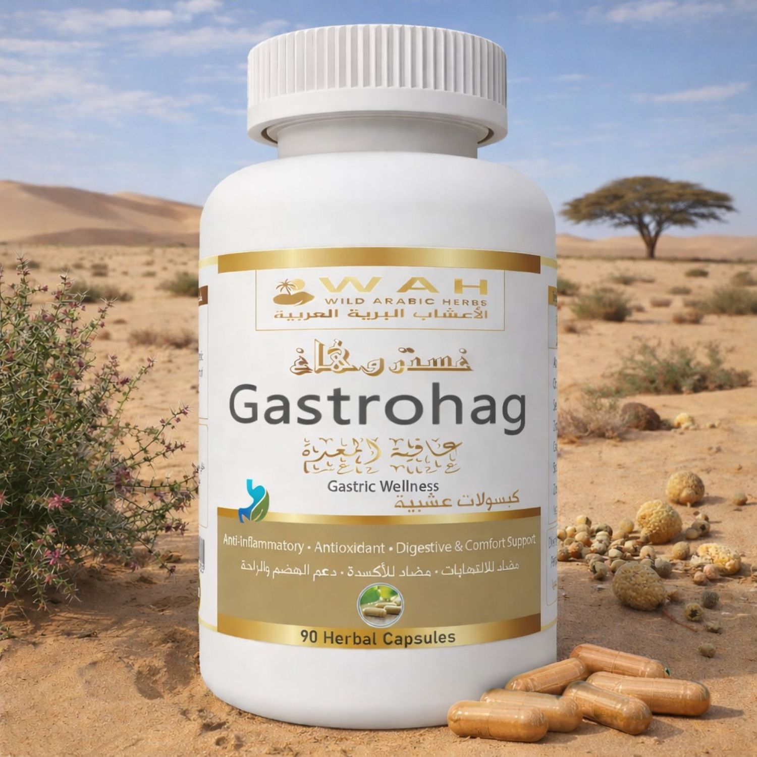 Gastrohag – Desert Herbs Formula for Gastritis (90 Capsules)