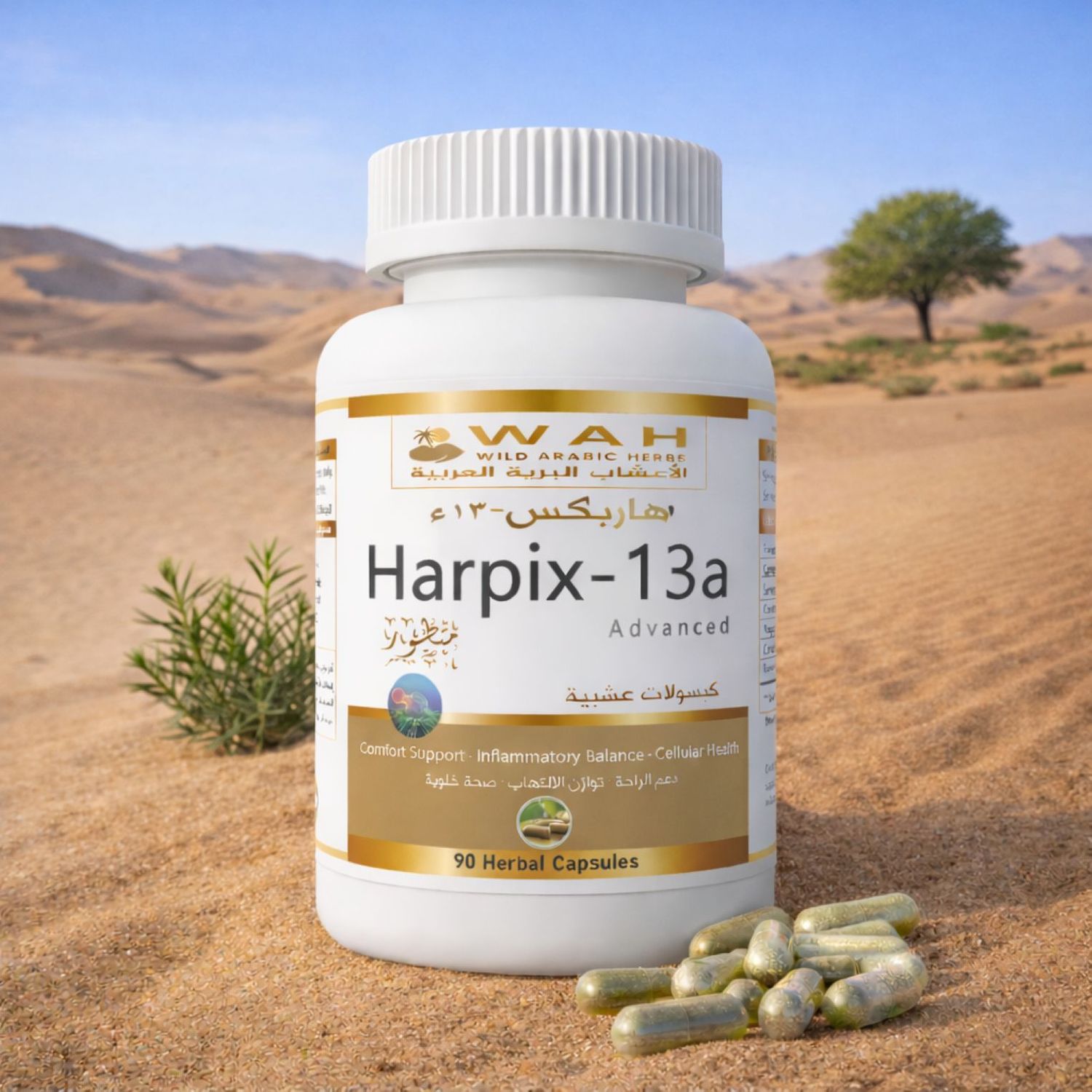 Harpix-13a - Advanced Desert Herbs Formula for Cancer (90 Capsules)