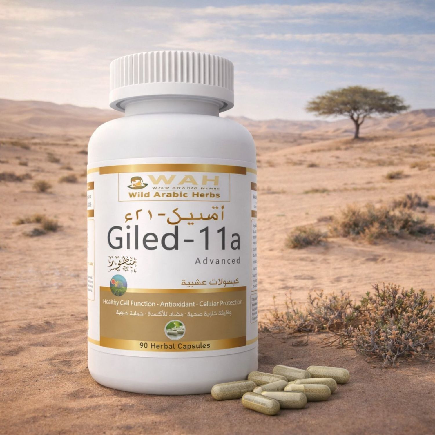 Giled-11a - Advanced Desert Herbs Formula for Cancer (90 Capsules)