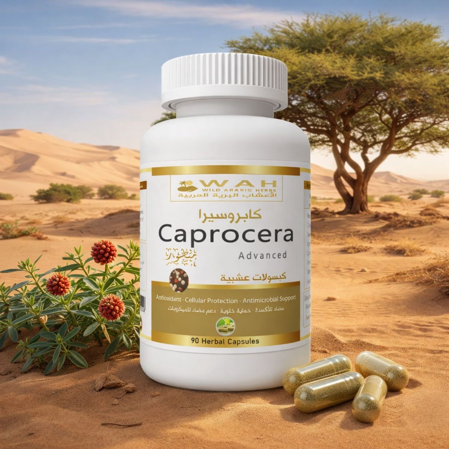 Caprocera - Desert Herbs Formula for Leukemia (90 Capsules)