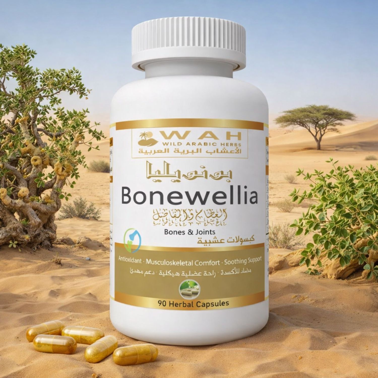 Bonewellia – Desert Herbs Formula for Bone &amp; Joint Health (90 Capsules)