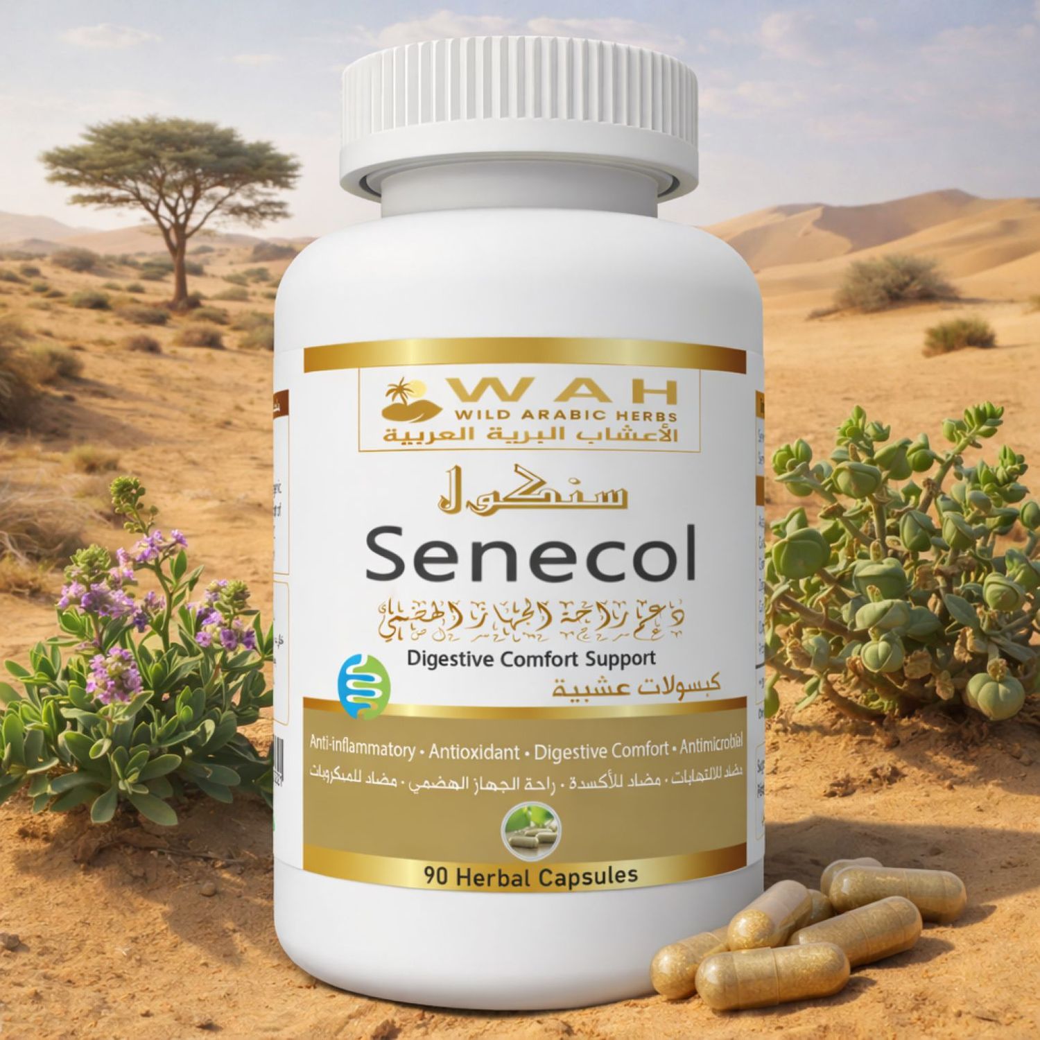 Senecol – Desert Herbs Formula for Nervous Colitis and Irritable Bowel (90 Capsules)