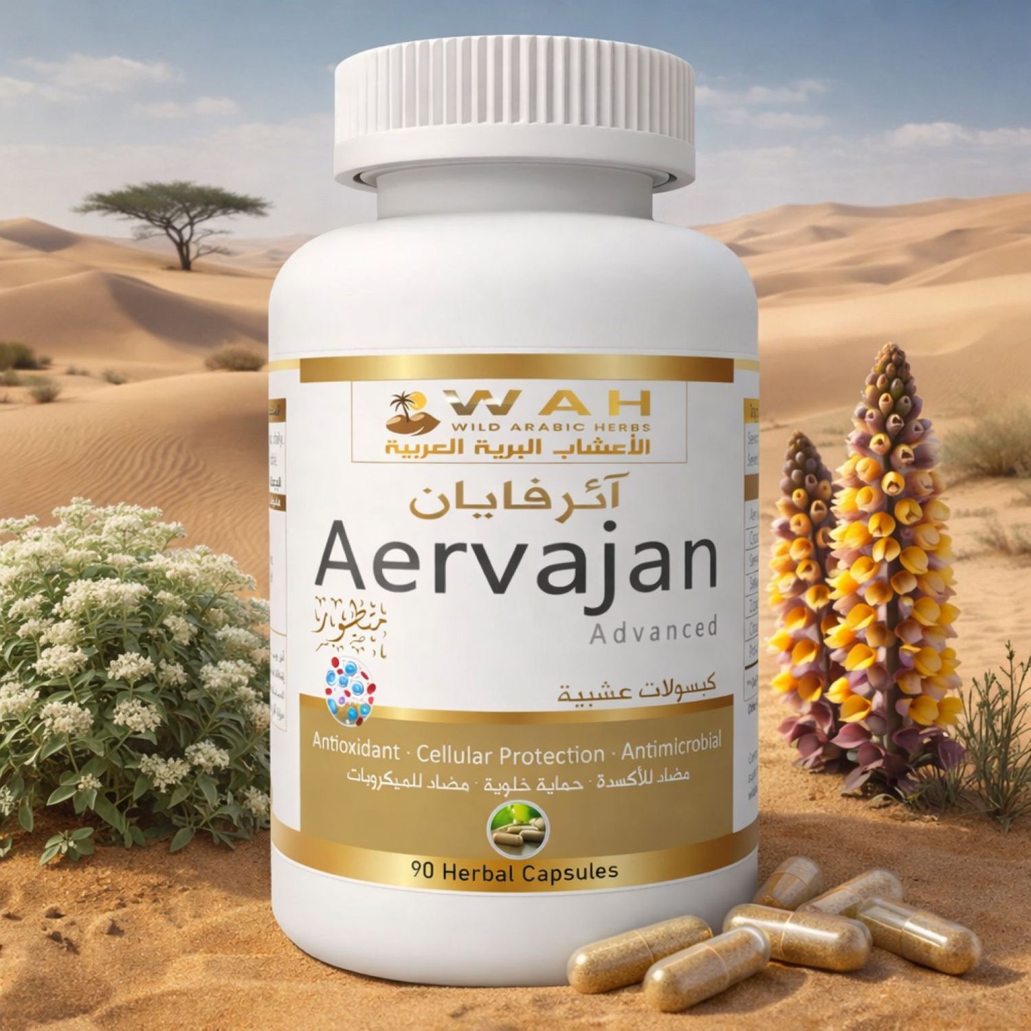Aervajan (90 Capsules)