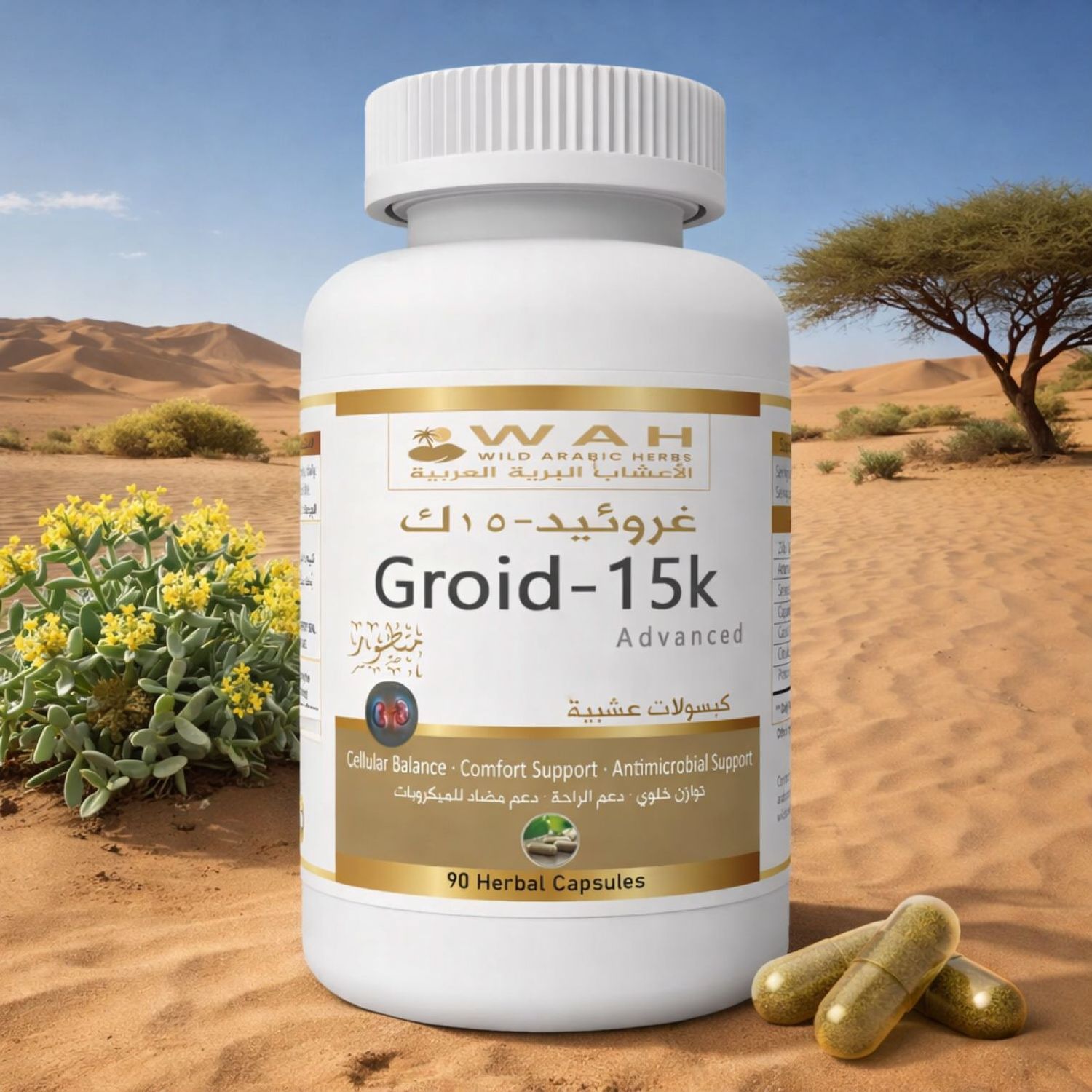 Groid-15k - Desert Herbs Formula for Kidney Cancer (90 Capsules)