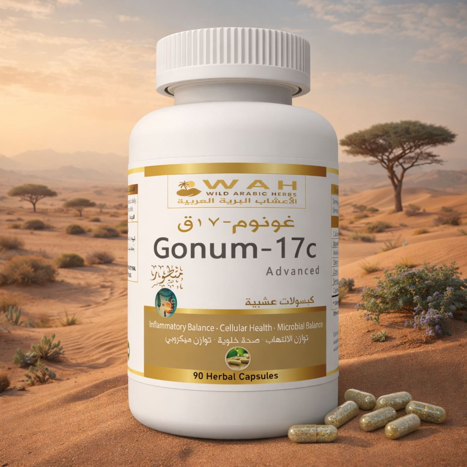 Gonum-17c - Desert Herbs Formula for Colorectal Cancer (90 Capsules)