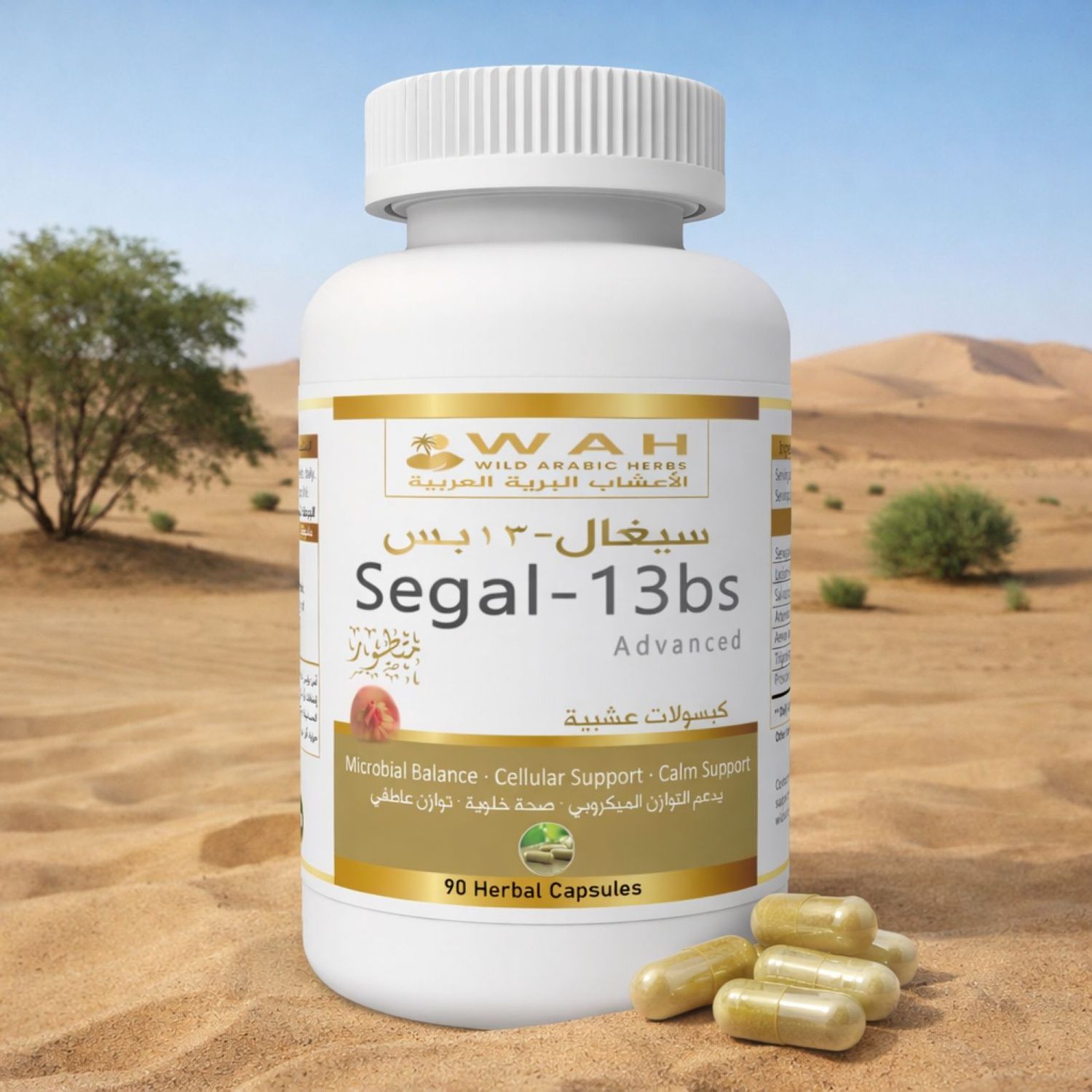 Segal-13bs - Desert Herbs Formula for Breast Cancer (90 Capsules)