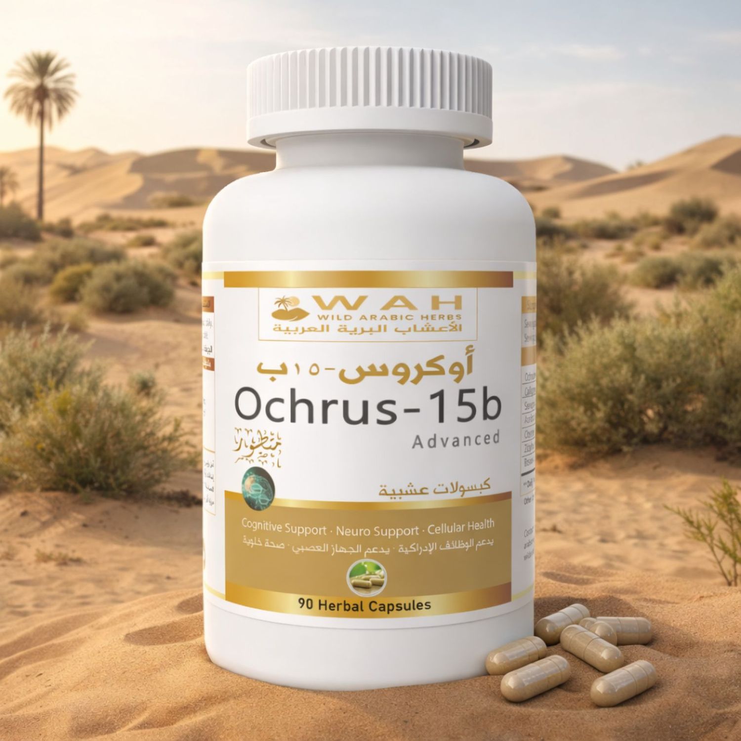 Ochrus-15b - Desert Herbs Formula for Brain Cancer (90 Capsules)