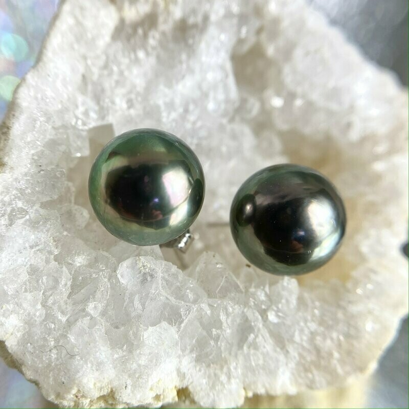 23512601  14k White Gold Tahitian Pearl Stud Earrings (Clearance)